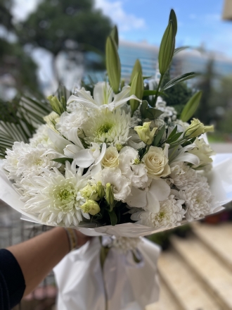 Zanbak Lilyum 